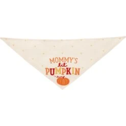 Frisco Mommy's Lil Pumpkin Dog & Cat Bandana -Blue Buffalo Shop 158936 PT3. AC SS1800 V1689628812