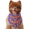 Frisco I Do Tricks For Treats Dog & Cat Bandana 1 Frisco I Do Tricks For Treats Dog & Cat Bandana -Blue Buffalo Shop 158938 MAIN. AC SS1800 V1633728989