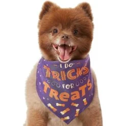 Frisco I Do Tricks For Treats Dog & Cat Bandana -Blue Buffalo Shop 158938 PT3. AC SS1800 V1633075903