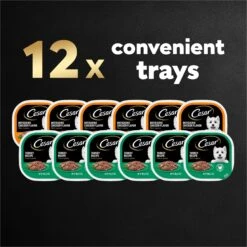 Cesar Poultry Lovers Turkey & Chicken Filets In Gravy Variety Pack Small Breed Adult Wet Dog Food Trays -Blue Buffalo Shop 159235 PT7. AC SS1800 V1695656561