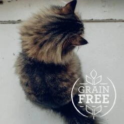 Meat Mates Beef Dinner Grain-Free Freeze-Dried Cat Food -Blue Buffalo Shop 159688 PT2. AC SS1800 V1594998389