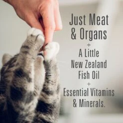 Meat Mates Beef Dinner Grain-Free Freeze-Dried Cat Food -Blue Buffalo Shop 159688 PT3. AC SS1800 V1595000473