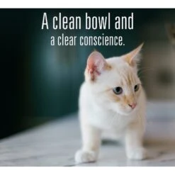 Meat Mates Beef Dinner Grain-Free Freeze-Dried Cat Food -Blue Buffalo Shop 159688 PT7. AC SS1800 V1595006782