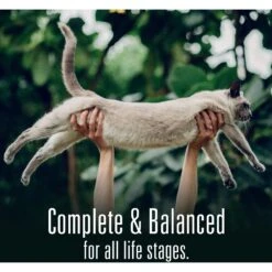 Meat Mates Beef Dinner Grain-Free Freeze-Dried Cat Food -Blue Buffalo Shop 159688 PT8. AC SS1800 V1594995963