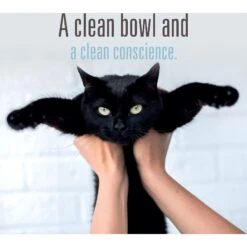 Meat Mates Lamb Dinner Grain-Free Freeze-Dried Cat Food 18 Meat Mates Lamb Dinner Grain-Free Freeze-Dried Cat Food -Blue Buffalo Shop 159693 PT7. AC SS1800 V1551393436