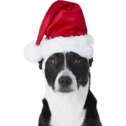 Frisco Holiday Dog & Cat Santa Hat, 1 Count -Blue Buffalo Shop 160054 PT2. AC SS1800 V1669100718