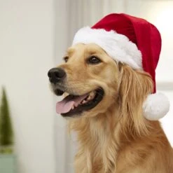 Frisco Holiday Dog & Cat Santa Hat, 1 Count -Blue Buffalo Shop 160054 PT4. AC SS1800 V1637650626