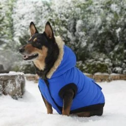 Frisco Heavyweight Anchorage Insulated Dog & Cat Parka -Blue Buffalo Shop 160250 PT7. AC SS1800 V1567011259