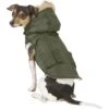 Frisco Mid-Heavyweight Portland Insulated Dog & Cat Parka -Blue Buffalo Shop 160295 MAIN. AC SS1800 V1566999745