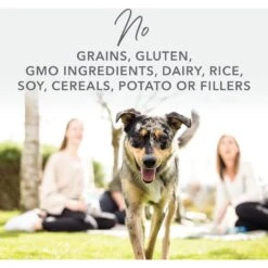 K9 Natural Lamb & King Salmon Grain-Free Freeze-Dried Dog Food 12 K9 Natural Lamb & King Salmon Grain-Free Freeze-Dried Dog Food -Blue Buffalo Shop 160751 PT2. AC SS1800 V1692973520