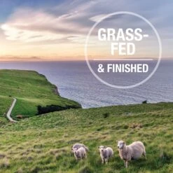 K9 Natural Lamb & King Salmon Grain-Free Freeze-Dried Dog Food 15 K9 Natural Lamb & King Salmon Grain-Free Freeze-Dried Dog Food -Blue Buffalo Shop 160751 PT5. AC SS1800 V1693245084