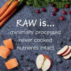 Instinct Raw Boost Grain-Free Recipe With Real Salmon & Freeze-Dried Raw Pieces Dry Dog Food -Blue Buffalo Shop 160755 PT3. AC SS1800 V1623433965