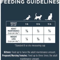 Instinct Raw Boost Grain-Free Recipe With Real Salmon & Freeze-Dried Raw Coated Pieces Dry Cat Food 19 Instinct Raw Boost Grain-Free Recipe With Real Salmon & Freeze-Dried Raw Coated Pieces Dry Cat Food -Blue Buffalo Shop 160766 PT8. AC SS1800 V1623434282