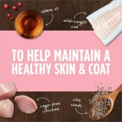 Instinct Freeze-Dried Raw Boost Mixers Grain-Free Skin & Coat Health Recipe Dog Food Topper 14 Instinct Freeze-Dried Raw Boost Mixers Grain-Free Skin & Coat Health Recipe Dog Food Topper -Blue Buffalo Shop 160782 PT3. AC SS1800 V1690554597