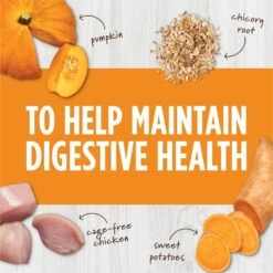 Instinct Freeze-Dried Raw Boost Mixers Grain-Free Digestive Health Recipe Cat Food Topper 14 Instinct Freeze-Dried Raw Boost Mixers Grain-Free Digestive Health Recipe Cat Food Topper -Blue Buffalo Shop 160784 PT3. AC SS1800 V1690554595