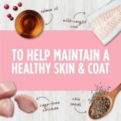 Instinct Freeze-Dried Raw Boost Mixers Grain-Free Skin & Coat Health Recipe Cat Food Topper 14 Instinct Freeze-Dried Raw Boost Mixers Grain-Free Skin & Coat Health Recipe Cat Food Topper -Blue Buffalo Shop 160786 PT3. AC SS1800 V1690554696