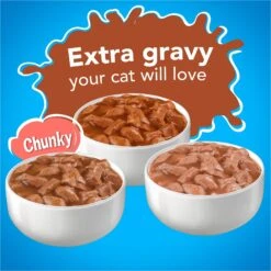 Friskies YUMbelievaBOX YUM-azing Extra Gravy Chunky Variety Pack Canned Cat Food 13 Friskies YUMbelievaBOX YUM-azing Extra Gravy Chunky Variety Pack Canned Cat Food -Blue Buffalo Shop 163996 PT2. AC SS1800 V1554147426
