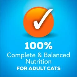 Friskies YUMbelievaBOX YUM-azing Extra Gravy Chunky Variety Pack Canned Cat Food 15 Friskies YUMbelievaBOX YUM-azing Extra Gravy Chunky Variety Pack Canned Cat Food -Blue Buffalo Shop 163996 PT4. AC SS1800 V1554147424