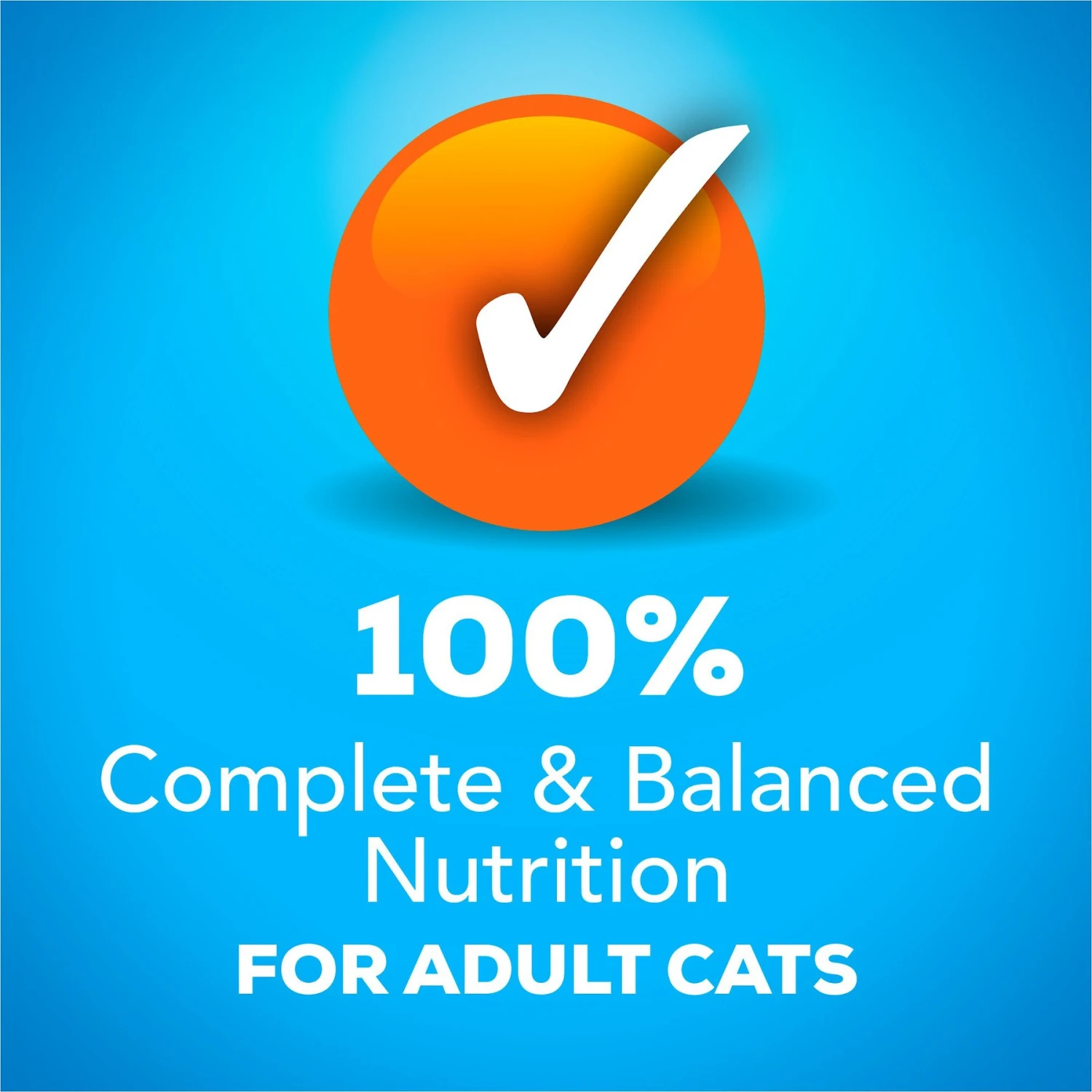 Friskies YUMbelievaBOX YUM-azing Extra Gravy Chunky Variety Pack Canned Cat Food 7 Friskies YUMbelievaBOX YUM-azing Extra Gravy Chunky Variety Pack Canned Cat Food - Image 5