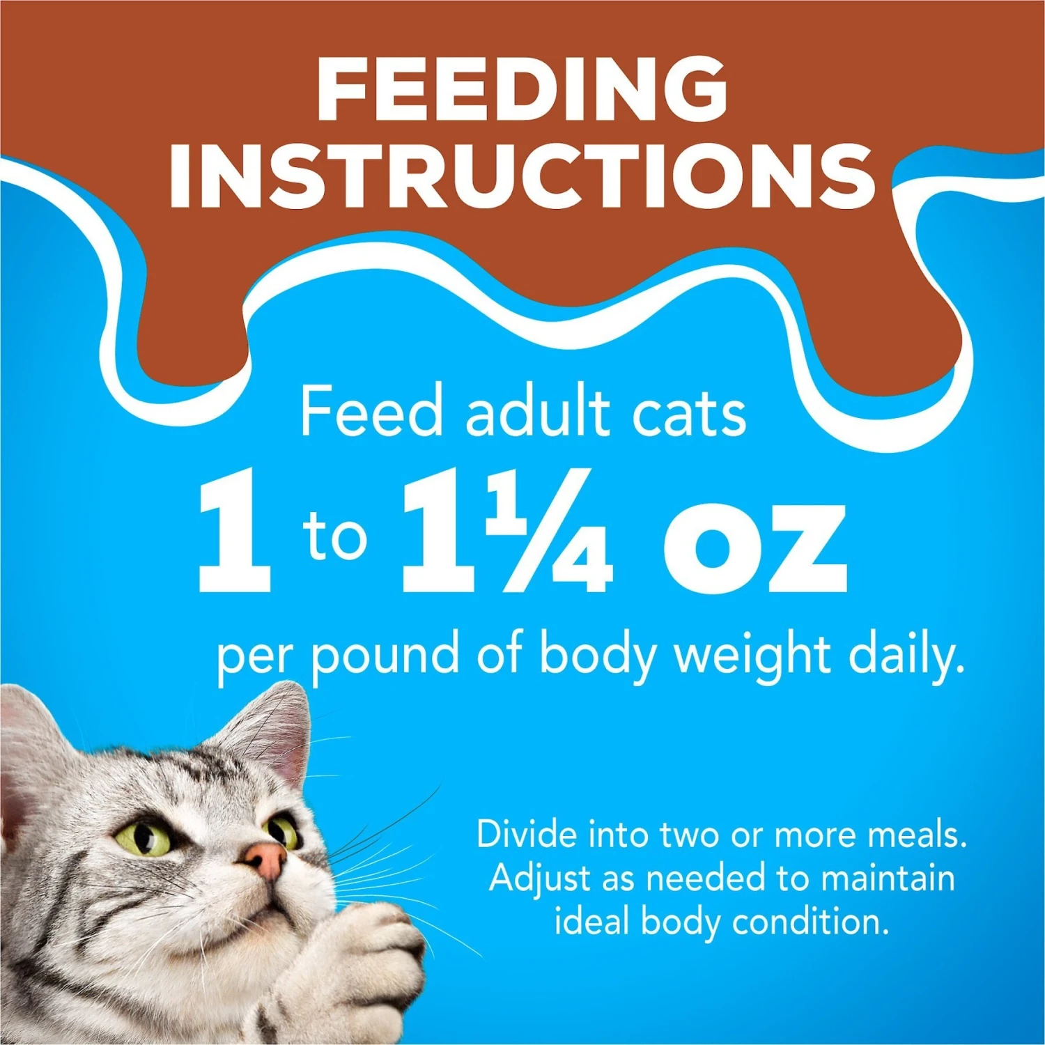 Friskies YUMbelievaBOX YUM-azing Extra Gravy Chunky Variety Pack Canned Cat Food 11 Friskies YUMbelievaBOX YUM-azing Extra Gravy Chunky Variety Pack Canned Cat Food - Image 9