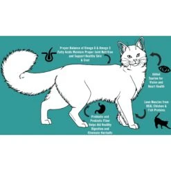 Chicken Soup For The Soul Kitten Chicken, Brown Rice & Pea Recipe Dry Cat Food 15 Chicken Soup For The Soul Kitten Chicken, Brown Rice & Pea Recipe Dry Cat Food -Blue Buffalo Shop 165109 PT4. AC SS1800 V1694721810