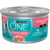 Purina ONE Grain-Free Natural Pate Healthy Kitten Chicken & Salmon Recipe Wet Kitten Food 1 Purina ONE Grain-Free Natural Pate Healthy Kitten Chicken & Salmon Recipe Wet Kitten Food -Blue Buffalo Shop 166133 MAIN. AC SS1800 V1657656049