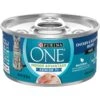 Purina ONE Indoor Advantage 7+ Chicken & Ocean Fish Recipe Pate Wet Cat Food 1 Purina ONE Indoor Advantage 7+ Chicken & Ocean Fish Recipe Pate Wet Cat Food -Blue Buffalo Shop 166135 MAIN. AC SS1800 V1636671719