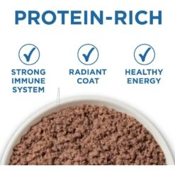Purina ONE Indoor Advantage 7+ Chicken & Ocean Fish Recipe Pate Wet Cat Food 12 Purina ONE Indoor Advantage 7+ Chicken & Ocean Fish Recipe Pate Wet Cat Food -Blue Buffalo Shop 166135 PT1. AC SS1800 V1636676487