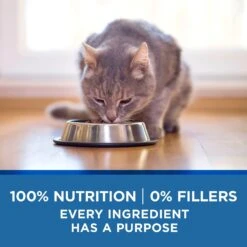 Purina ONE Indoor Advantage 7+ Chicken & Ocean Fish Recipe Pate Wet Cat Food 16 Purina ONE Indoor Advantage 7+ Chicken & Ocean Fish Recipe Pate Wet Cat Food -Blue Buffalo Shop 166135 PT5. AC SS1800 V1636674714