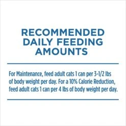 Purina ONE Indoor Advantage 7+ Chicken & Ocean Fish Recipe Pate Wet Cat Food 19 Purina ONE Indoor Advantage 7+ Chicken & Ocean Fish Recipe Pate Wet Cat Food -Blue Buffalo Shop 166135 PT8. AC SS1800 V1621978398