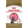 Royal Canin Feline Breed Nutrition Maine Coon Kitten Dry Cat Food, 3-lb Bag -Blue Buffalo Shop 169731 MAIN. AC SS1800 V1694811566