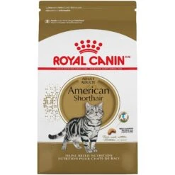 Royal Canin Feline Breed Nutrition American Shorthair Adult Dry Cat Food