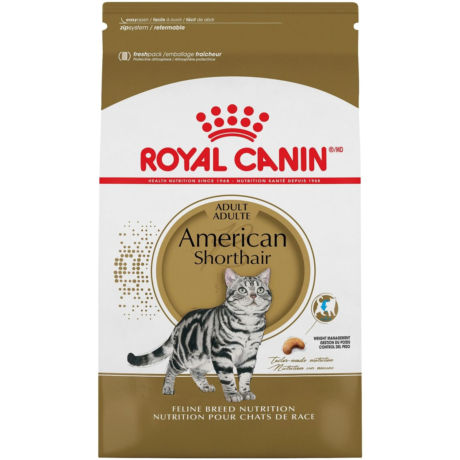Royal Canin Feline Breed Nutrition American Shorthair Adult Dry Cat Food 3 Royal Canin Feline Breed Nutrition American Shorthair Adult Dry Cat Food