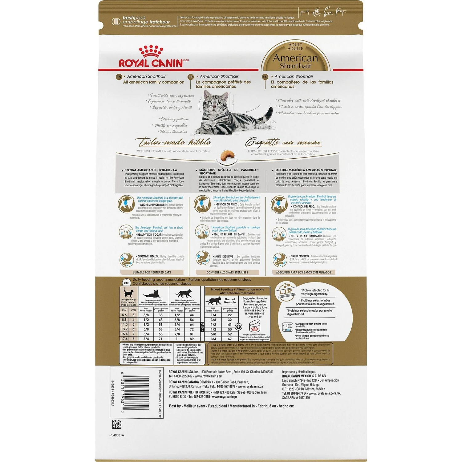 Royal Canin Feline Breed Nutrition American Shorthair Adult Dry Cat Food 4 Royal Canin Feline Breed Nutrition American Shorthair Adult Dry Cat Food - Image 2