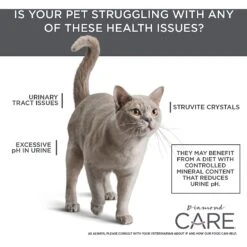 Diamond Care Urinary Support Formula Adult Dry Cat Food 15 Diamond Care Urinary Support Formula Adult Dry Cat Food -Blue Buffalo Shop 175579 PT5. AC SS1800 V1587655887