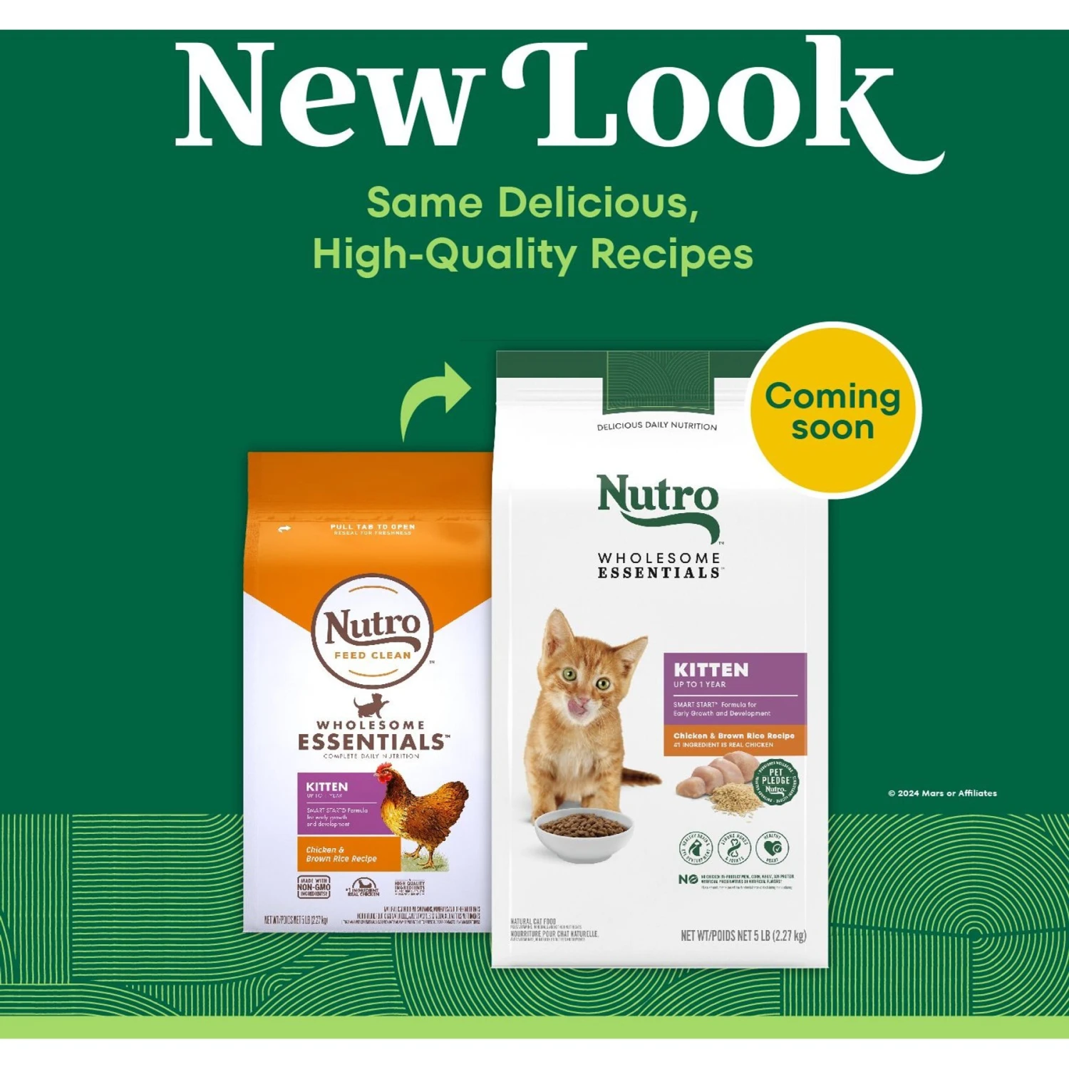 Nutro Wholesome Essentials Chicken & Brown Rice Recipe Kitten Dry Cat Food 4 Nutro Wholesome Essentials Chicken & Brown Rice Recipe Kitten Dry Cat Food - Image 2