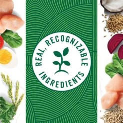 Nutro Wholesome Essentials Chicken & Brown Rice Recipe Kitten Dry Cat Food 18 Nutro Wholesome Essentials Chicken & Brown Rice Recipe Kitten Dry Cat Food -Blue Buffalo Shop 175960 PT7. AC SS1800 V1702665978