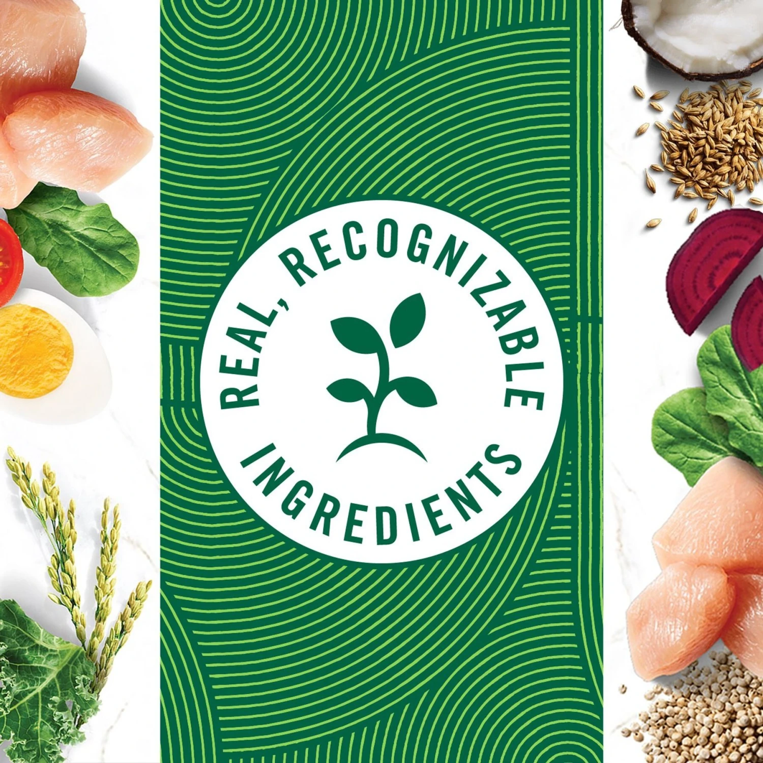 Nutro Wholesome Essentials Chicken & Brown Rice Recipe Kitten Dry Cat Food 10 Nutro Wholesome Essentials Chicken & Brown Rice Recipe Kitten Dry Cat Food - Image 8