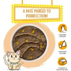 Weruva Classic Cat Who Wants To Be A Meowionaire Chicken & Pumpkin Pate Canned Cat Food -Blue Buffalo Shop 178186 PT2. AC SS1800 V1674163540