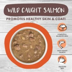 Weruva Classic Cat Taco Stewsday Beef, Chicken & Salmon In Gravy Canned Cat Food -Blue Buffalo Shop 178209 PT2. AC SS1800 V1672265172