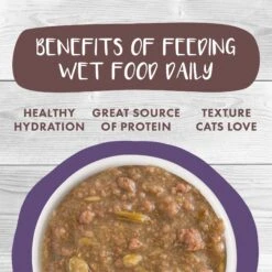 Weruva Classic Cat Too Hot To Handle Chicken, Duck & Salmon In Gravy Stew Cat Food Pouches -Blue Buffalo Shop 178213 PT4. AC SS1800 V1672328955