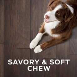 Purina Pro Plan Veterinary Diets Digestive Health Bites Soft & Chewy Dog Treats -Blue Buffalo Shop 180381 PT6. AC SS1800 V1700159849