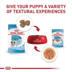 Royal Canin Size Health Nutrition Small Puppy Chunks In Gravy Dog Food Pouch -Blue Buffalo Shop 181592 PT5. AC SS1800 V1697213407
