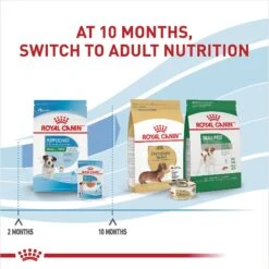 Royal Canin Size Health Nutrition Small Puppy Chunks In Gravy Dog Food Pouch -Blue Buffalo Shop 181592 PT6. AC SS1800 V1697213152