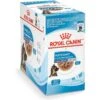 Royal Canin Size Health Nutrition Large Puppy Chunks In Gravy Dog Food Pouch, 4.9-oz, Case Of 10