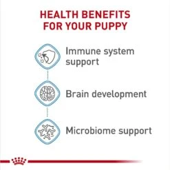 Royal Canin Size Health Nutrition Large Puppy Chunks In Gravy Dog Food Pouch, 4.9-oz, Case Of 10 -Blue Buffalo Shop 181596 PT4. AC SS1800 V1697212792