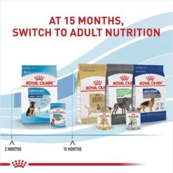 Royal Canin Size Health Nutrition Large Puppy Chunks In Gravy Dog Food Pouch, 4.9-oz, Case Of 10 -Blue Buffalo Shop 181596 PT6. AC SS1800 V1697213712