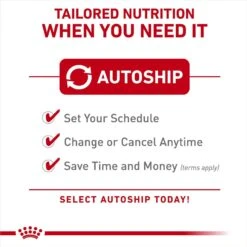 Royal Canin Size Health Nutrition Small Adult Chunks In Gravy Dog Food Pouch -Blue Buffalo Shop 181598 PT4. AC SS1800 V1696533202