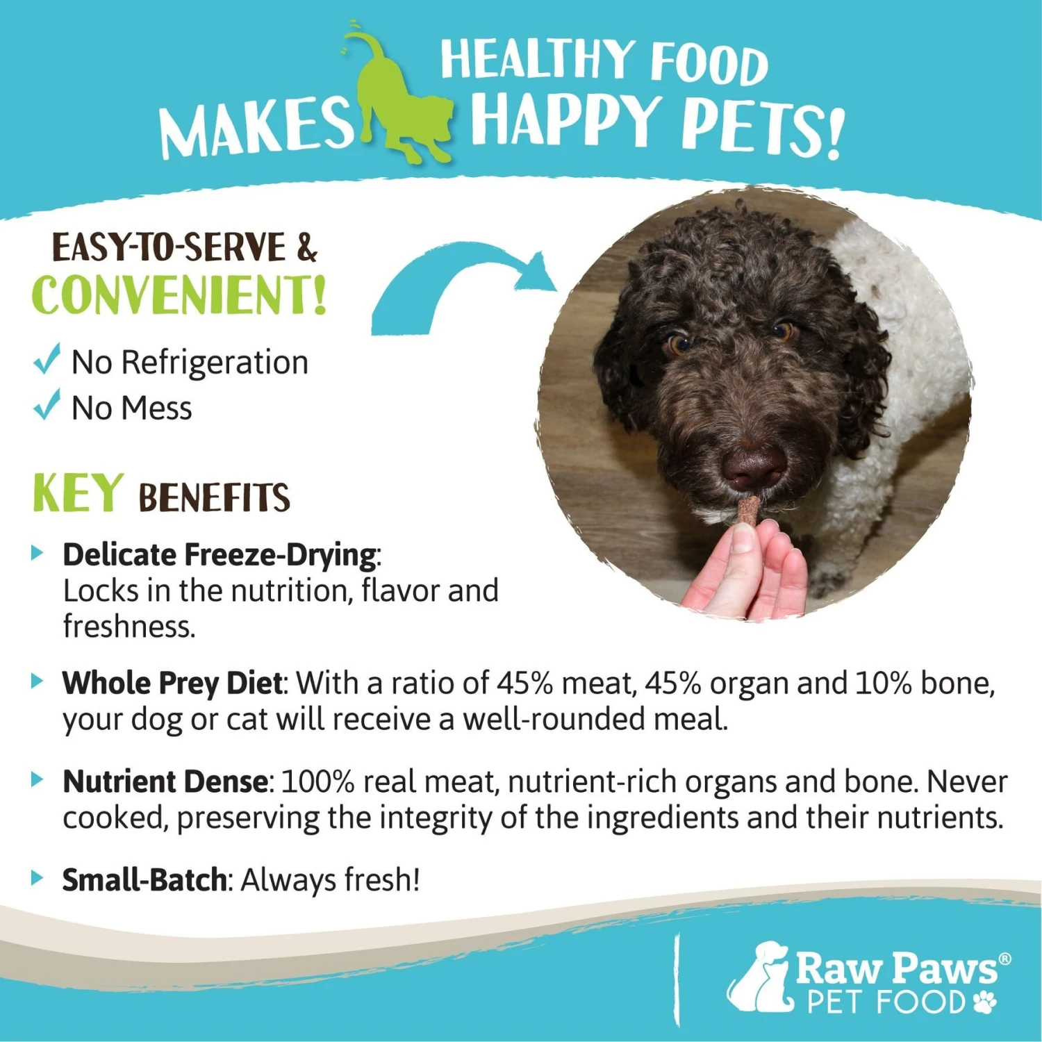 Raw Paws All Natural Freeze-Dried Grass-Fed Beef Recipe Dog & Cat Treats 7 Raw Paws All Natural Freeze-Dried Grass-Fed Beef Recipe Dog & Cat Treats - Image 5
