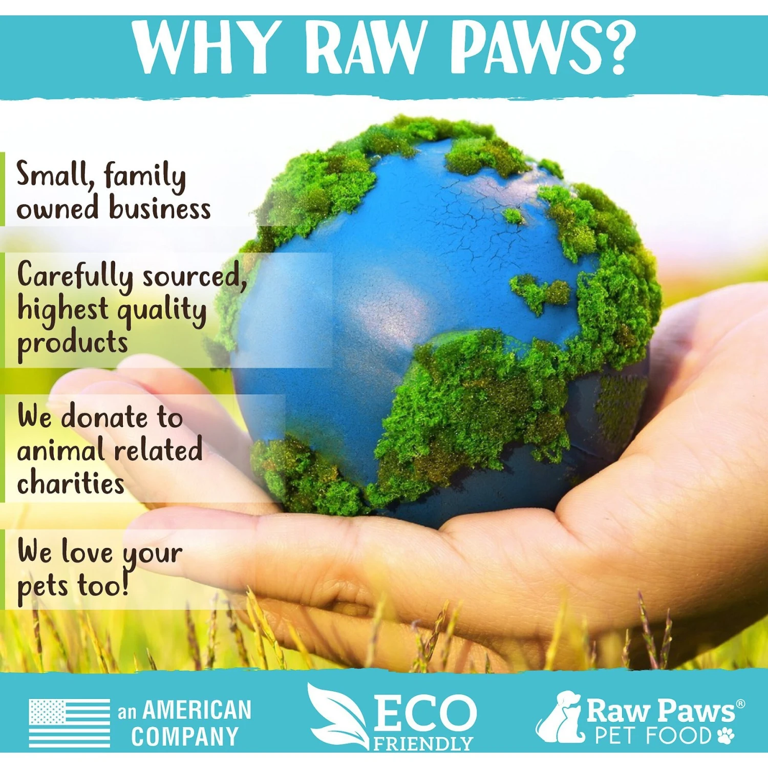 Raw Paws All Natural Freeze-Dried Grass-Fed Beef Recipe Dog & Cat Treats 9 Raw Paws All Natural Freeze-Dried Grass-Fed Beef Recipe Dog & Cat Treats - Image 7